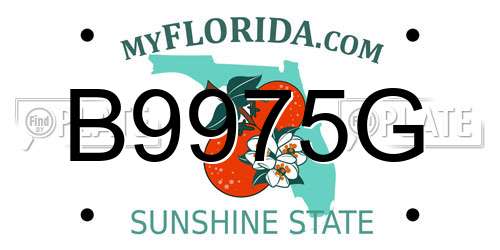 B9975G Florida License Plate