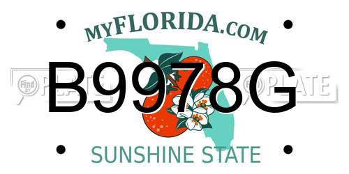 B9978G Florida License Plate
