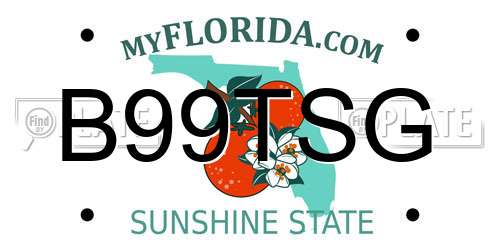 B99TSG Florida License Plate