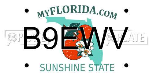 B9EWV Florida License Plate