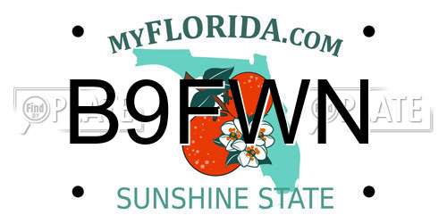 B9FWN Florida License Plate