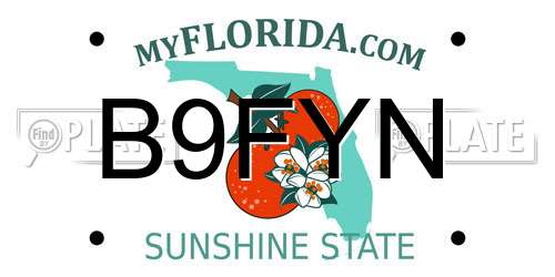 B9FYN Florida License Plate