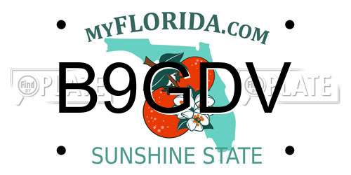 B9GDV Florida License Plate