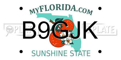 B9GJK Florida License Plate