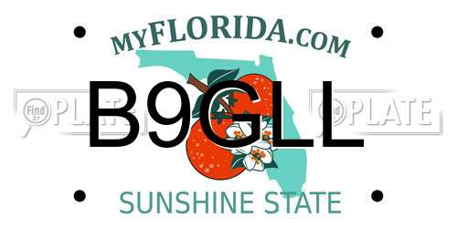 B9GLL Florida License Plate