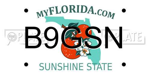 B9GSN Florida License Plate