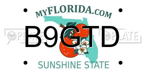 B9GTD Florida License Plate