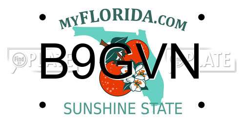 B9GVN Florida License Plate