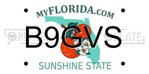 B9GVS Florida License Plate
