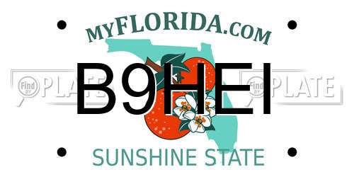 B9HEI Florida License Plate