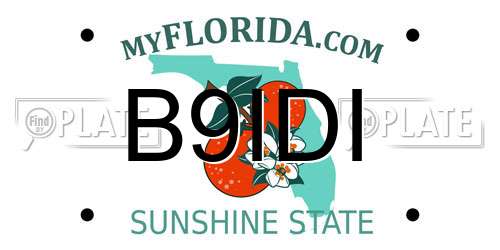 B9IDI Florida License Plate
