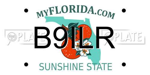 B9ILR Florida License Plate