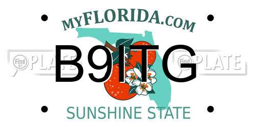 B9ITG Florida License Plate
