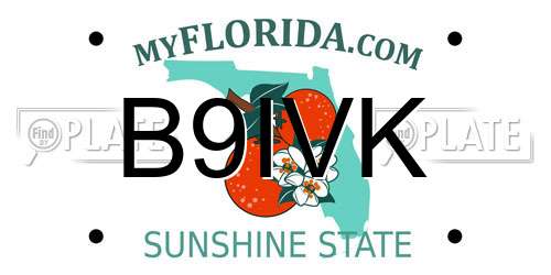 B9IVK Florida License Plate