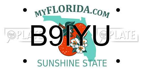 B9IYU Florida License Plate