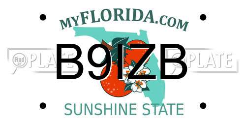 B9IZB Florida License Plate