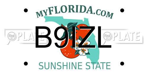B9IZL Florida License Plate