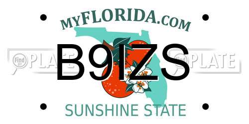 B9IZS Florida License Plate