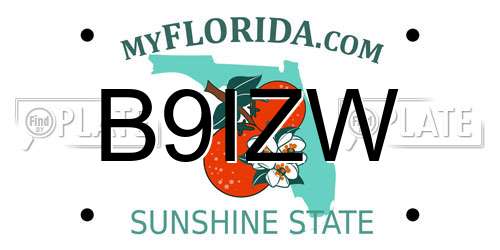 B9IZW Florida License Plate