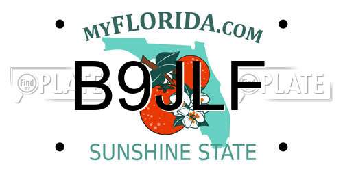 B9JLF Florida License Plate