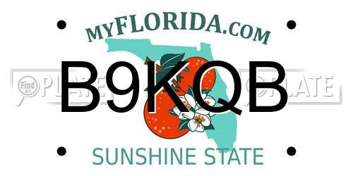 B9KQB Florida License Plate