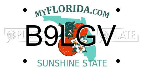 B9LGV Florida License Plate