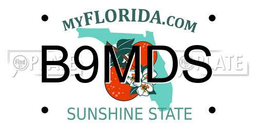 B9MDS Florida License Plate
