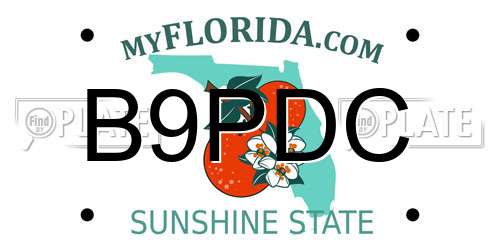 B9PDC Florida License Plate