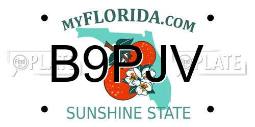 B9PJV Florida License Plate