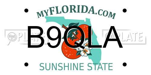 B9QLA Florida License Plate