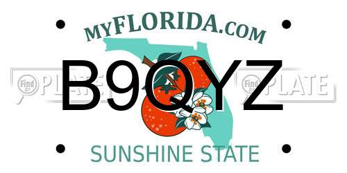 B9QYZ Florida License Plate
