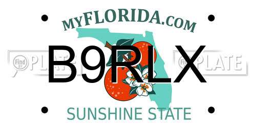 B9RLX Florida License Plate