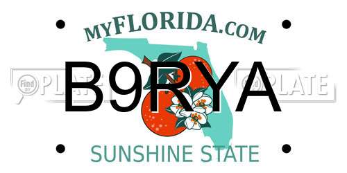 B9RYA Florida License Plate