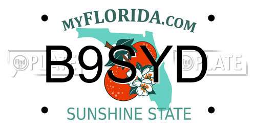 B9SYD Florida License Plate