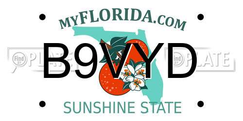 B9VYD Florida License Plate