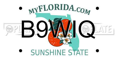 B9WIQ Florida License Plate