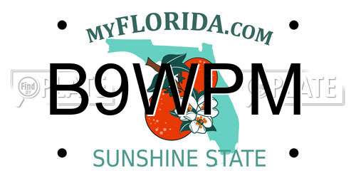 B9WPM Florida License Plate