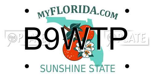 B9WTP Florida License Plate