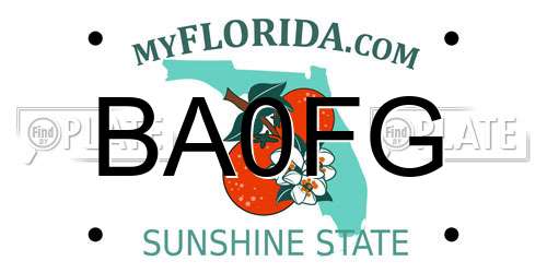 BA0FG Florida License Plate