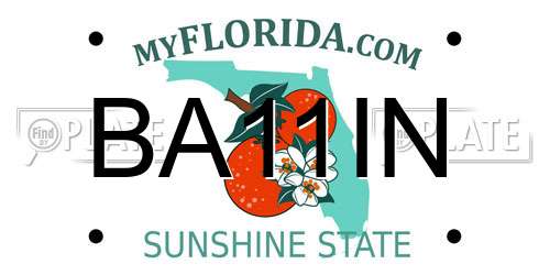 BA11IN Florida License Plate