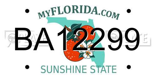 BA12299 Florida License Plate