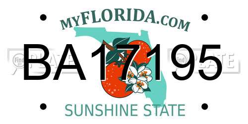 BA17195 Florida License Plate