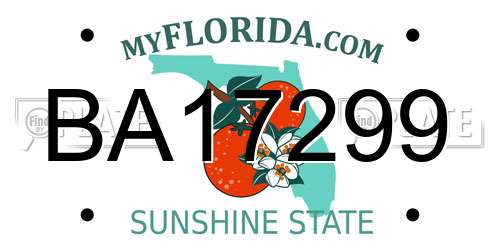BA17299 Florida License Plate
