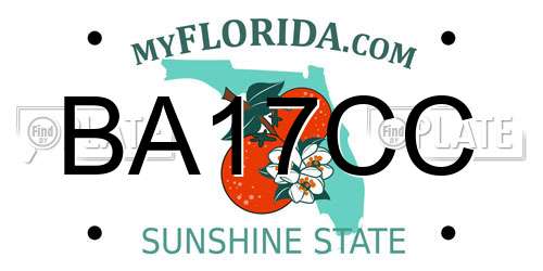 BA17CC Florida License Plate