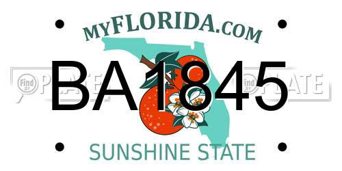 BA1845 Florida License Plate