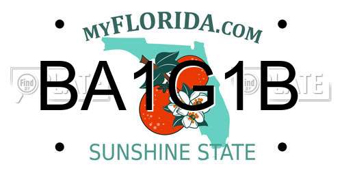 BA1G1B Florida License Plate
