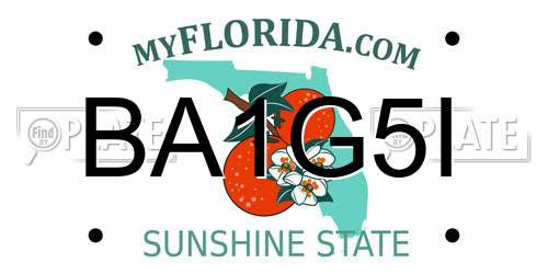 BA1G5I Florida License Plate