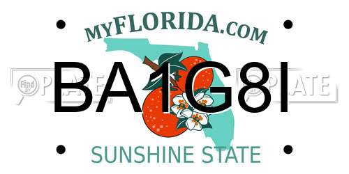 BA1G8I Florida License Plate