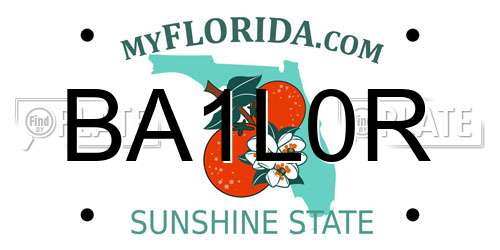 BA1L0R Florida License Plate