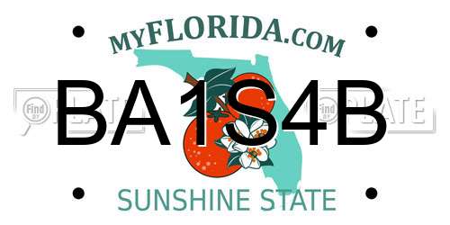 BA1S4B Florida License Plate